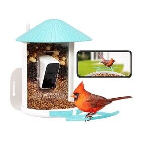 Birdfy Smart Bird Feeder with Camera for Bird Feeding and Watching - 1.5 lb Blue